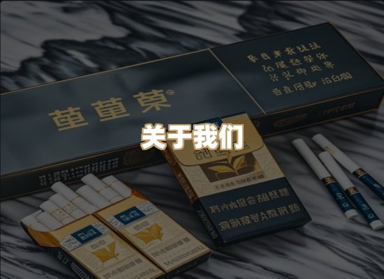 关于云歌烟网
